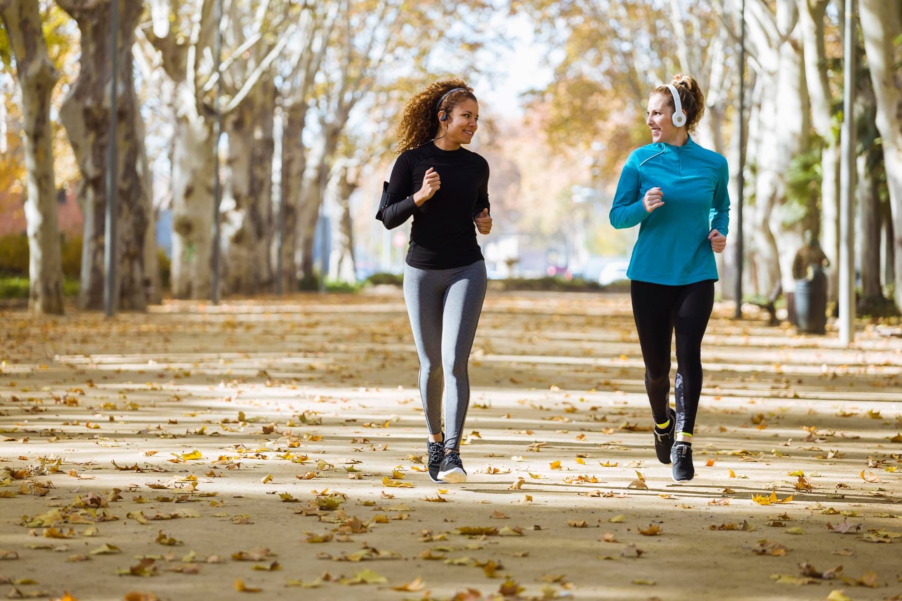 Why Slow Running (Zone 0/1) is the Foundation of Fast Racing