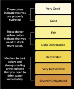 Urine Indicator